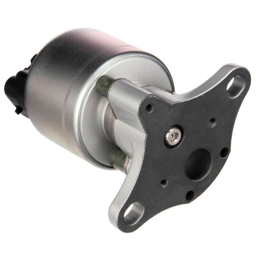 DELPHI EG10031 EGR Valve