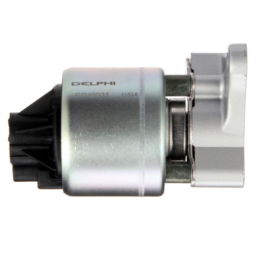 DELPHI EG10031 EGR Valve