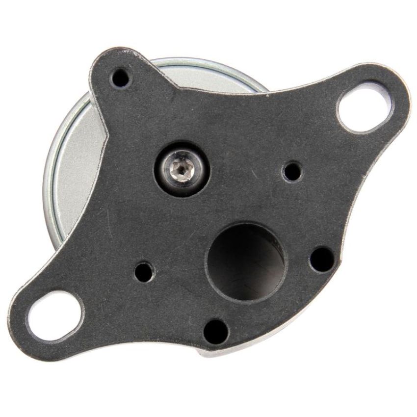 DELPHI EG10031 EGR Valve