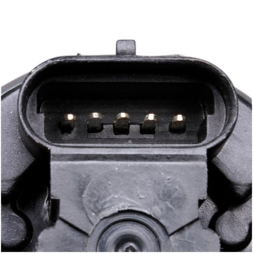 DELPHI EG10031 EGR Valve