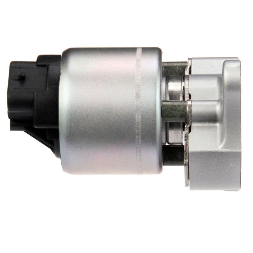 DELPHI EG10031 EGR Valve