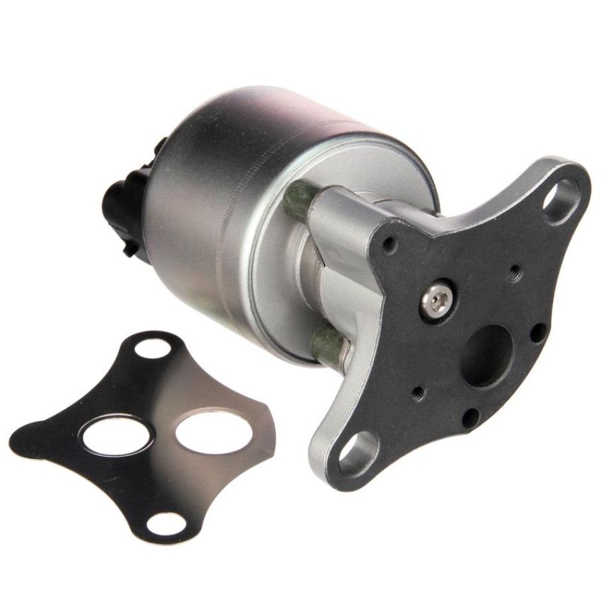 DELPHI EG10031 EGR Valve