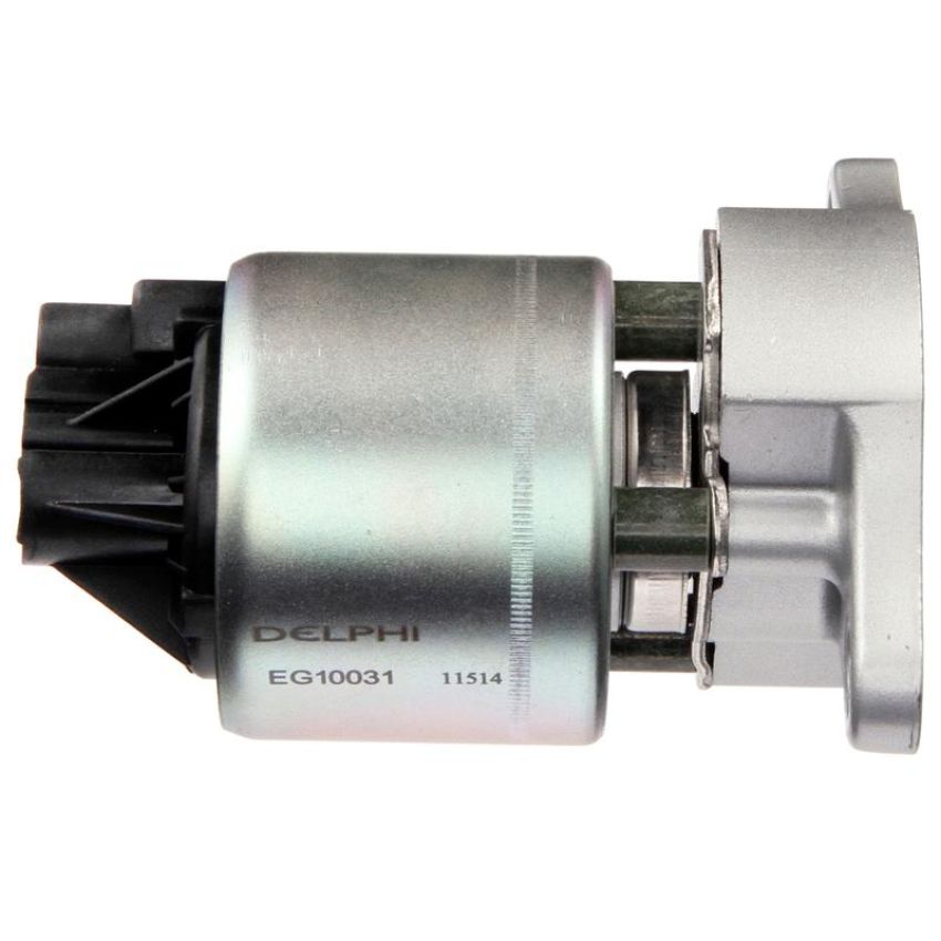 DELPHI EG10031 EGR Valve