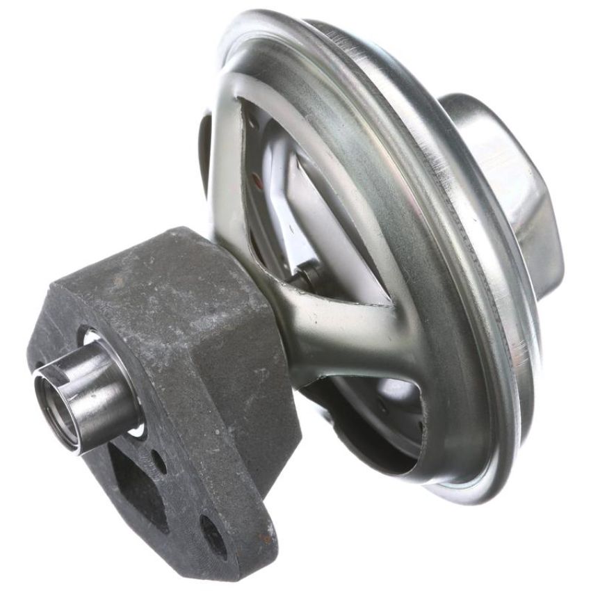 DELPHI EG10099 EGR Valve