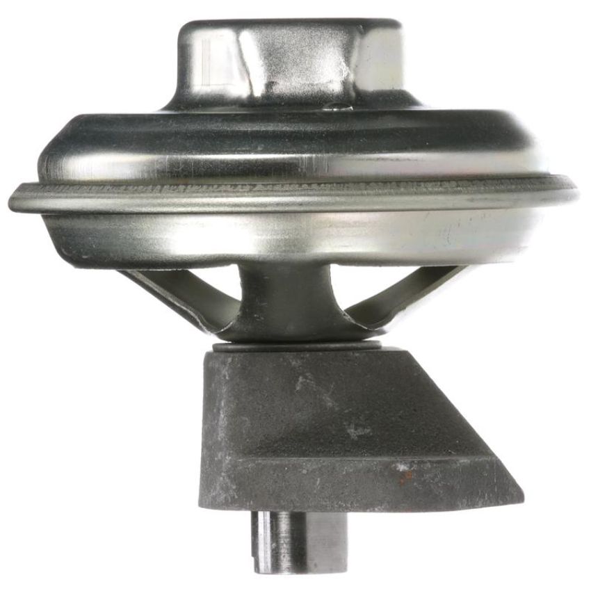 DELPHI EG10099 EGR Valve