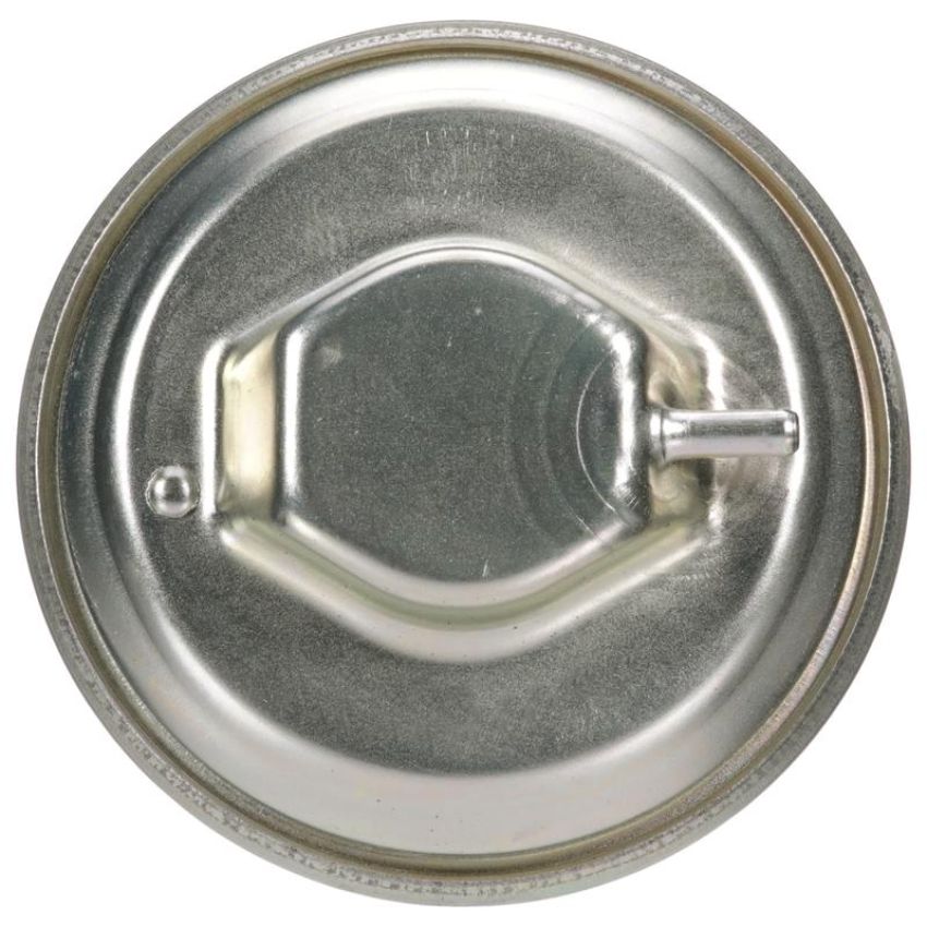 DELPHI EG10099 EGR Valve