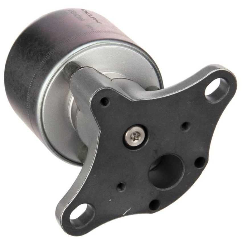 DELPHI EG10169 EGR Valve