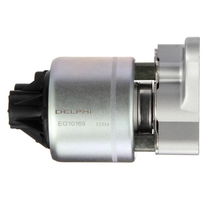 DELPHI EG10169 EGR Valve