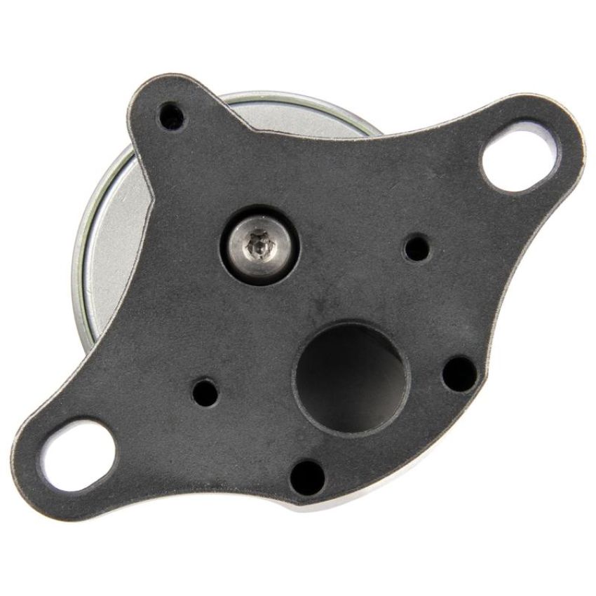 DELPHI EG10169 EGR Valve