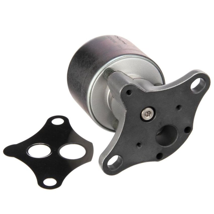 DELPHI EG10169 EGR Valve