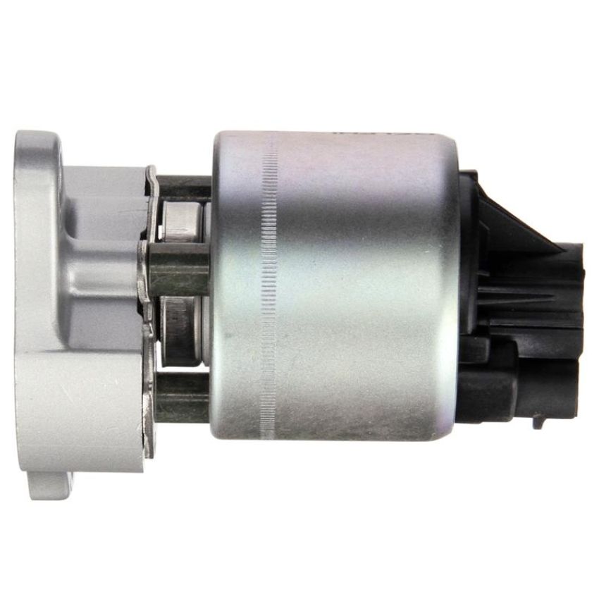DELPHI EG10169 EGR Valve