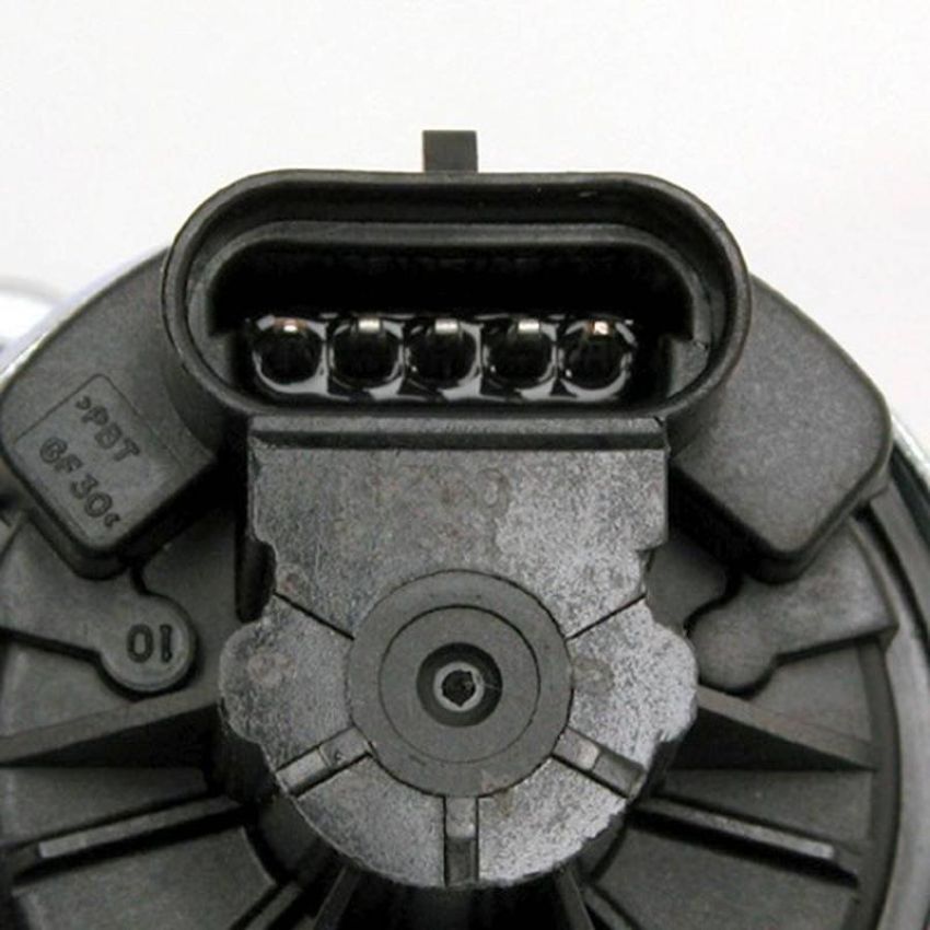DELPHI EG10169 EGR Valve