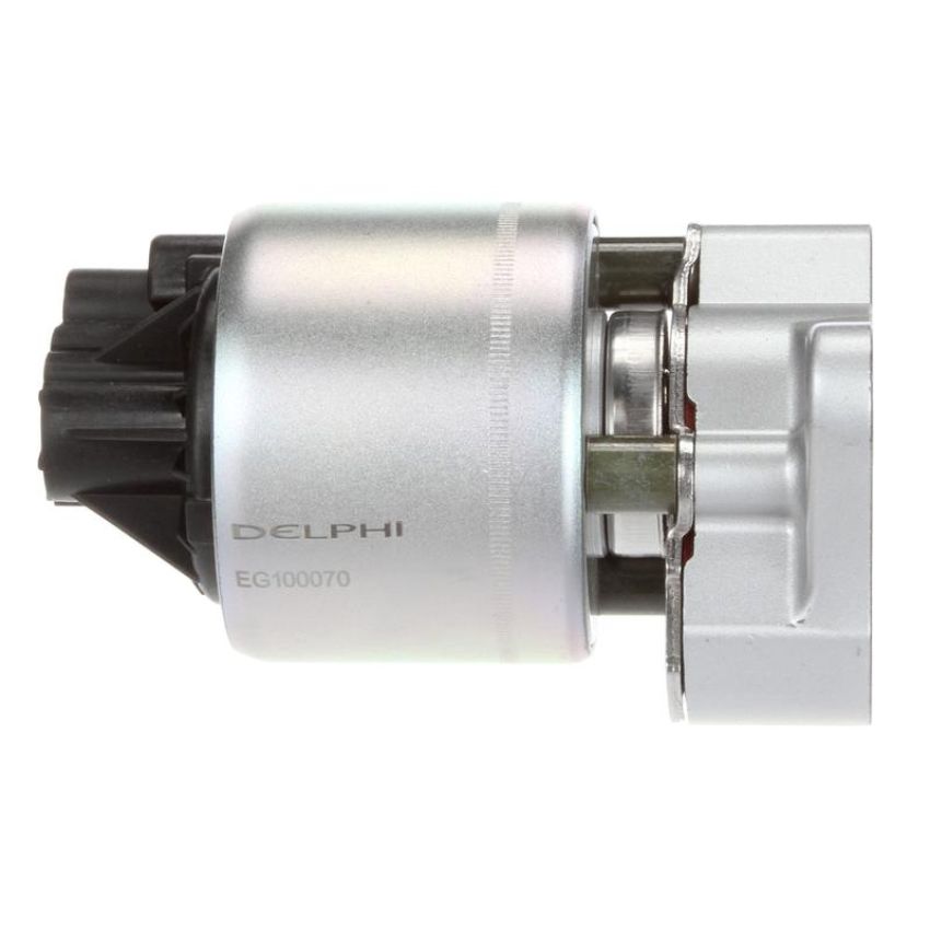 DELPHI EG10170 EGR Valve