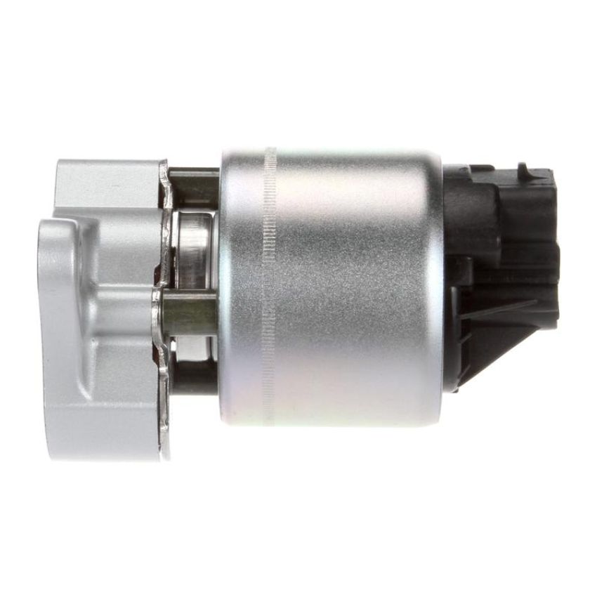 DELPHI EG10170 EGR Valve