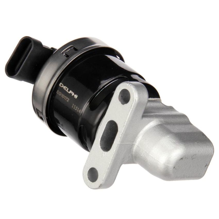 DELPHI EG10172 EGR Valve