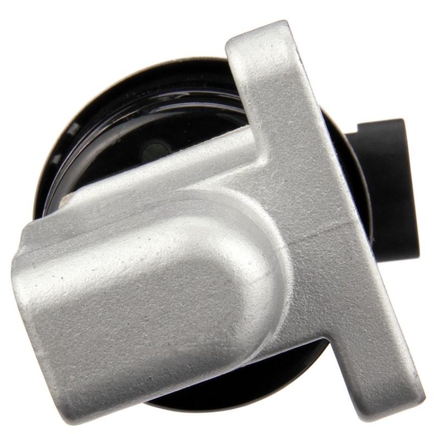 DELPHI EG10172 EGR Valve