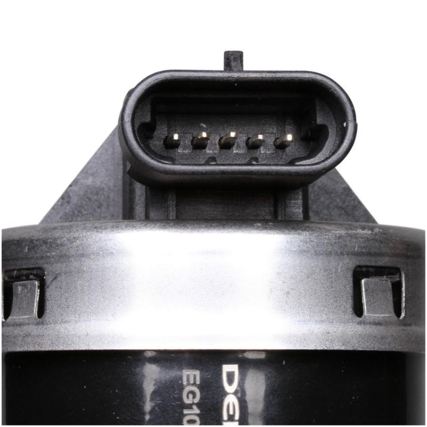 DELPHI EG10172 EGR Valve