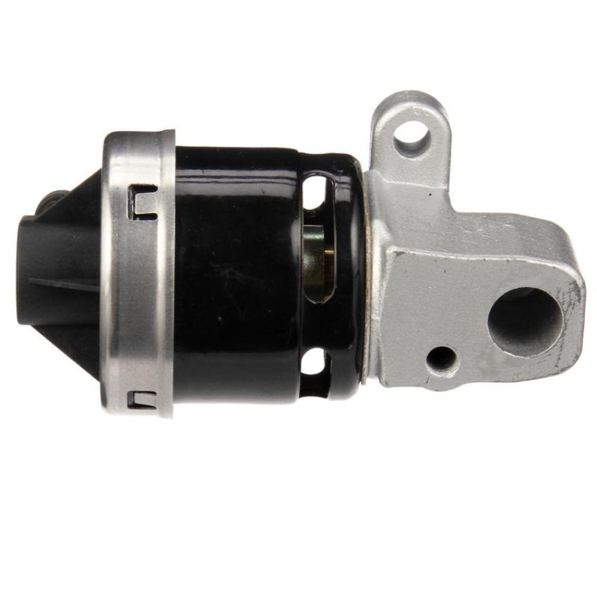 DELPHI EG10172 EGR Valve