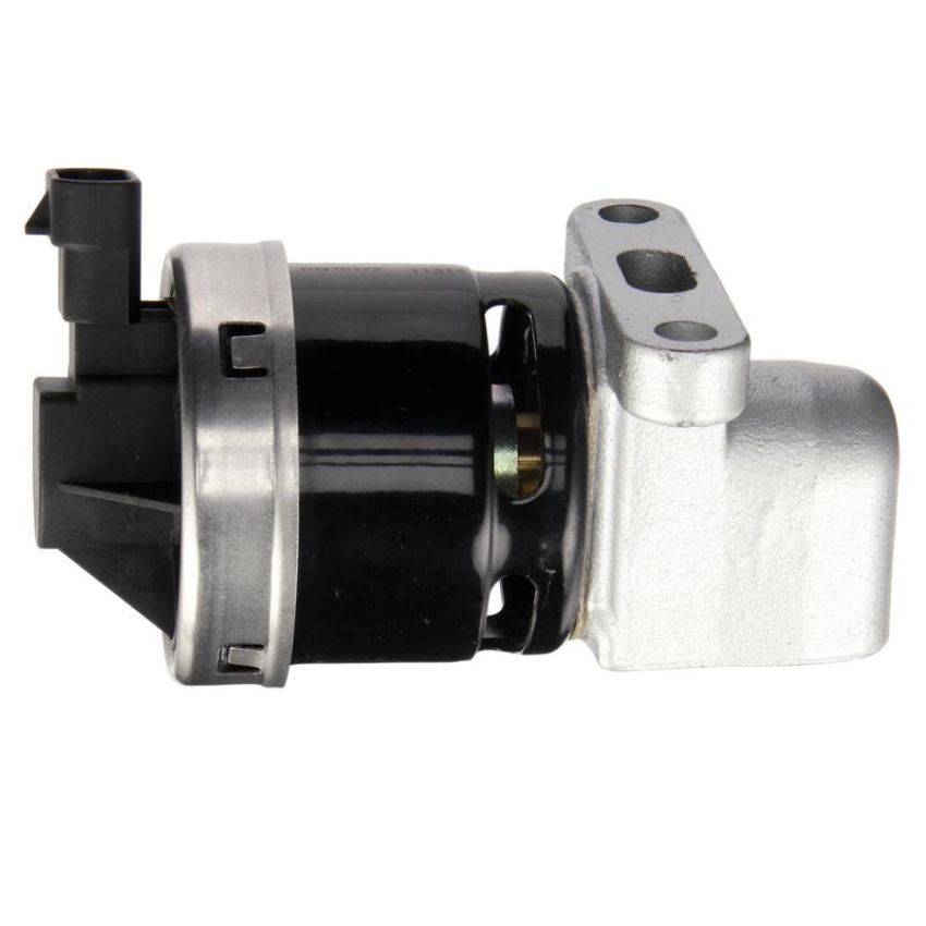 DELPHI EG10172 EGR Valve