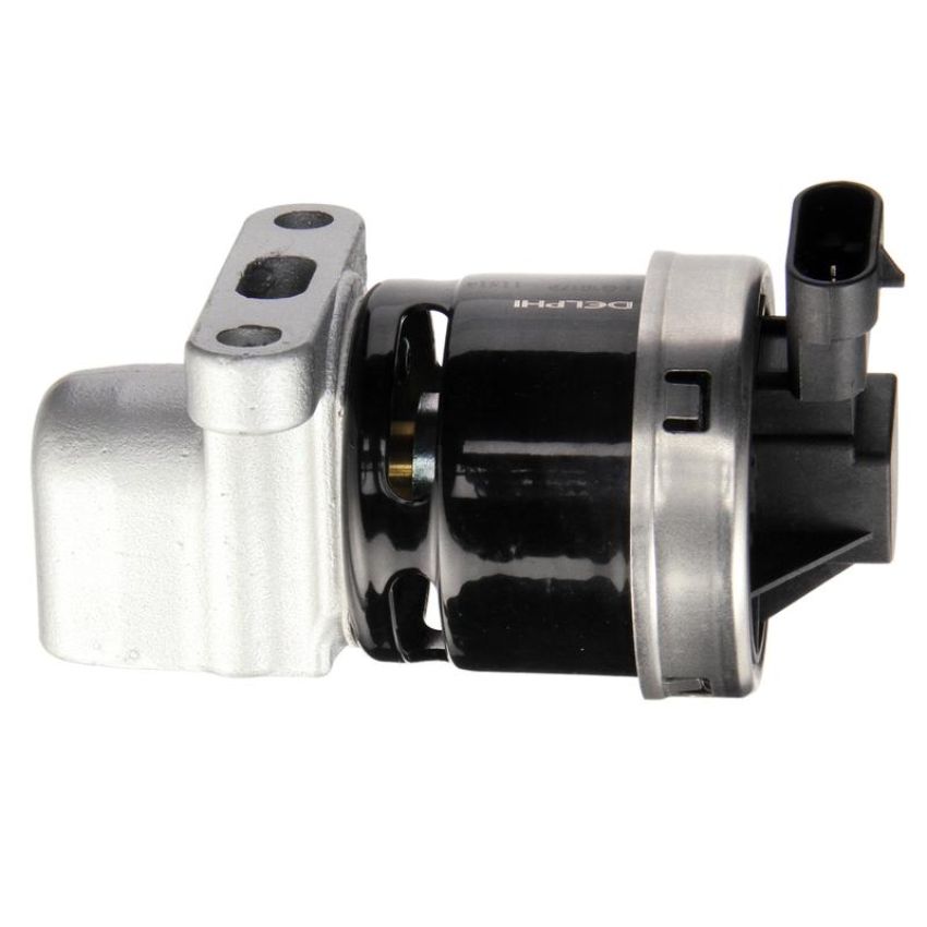 DELPHI EG10172 EGR Valve