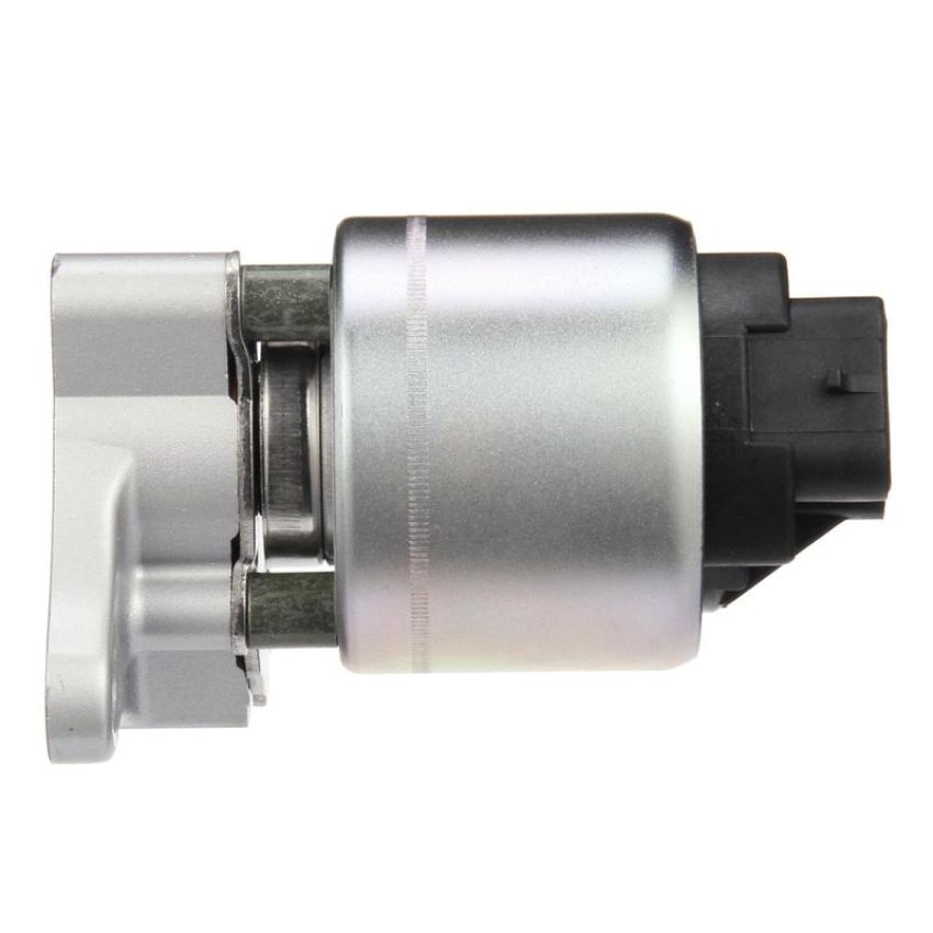 DELPHI EG10175 EGR Valve