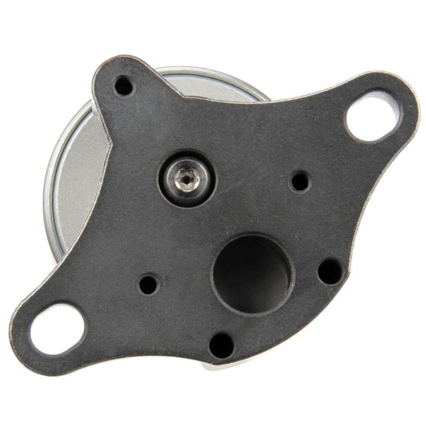 DELPHI EG10175 EGR Valve