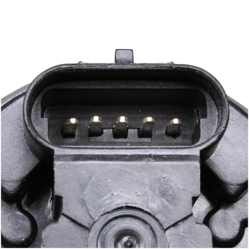 DELPHI EG10175 EGR Valve