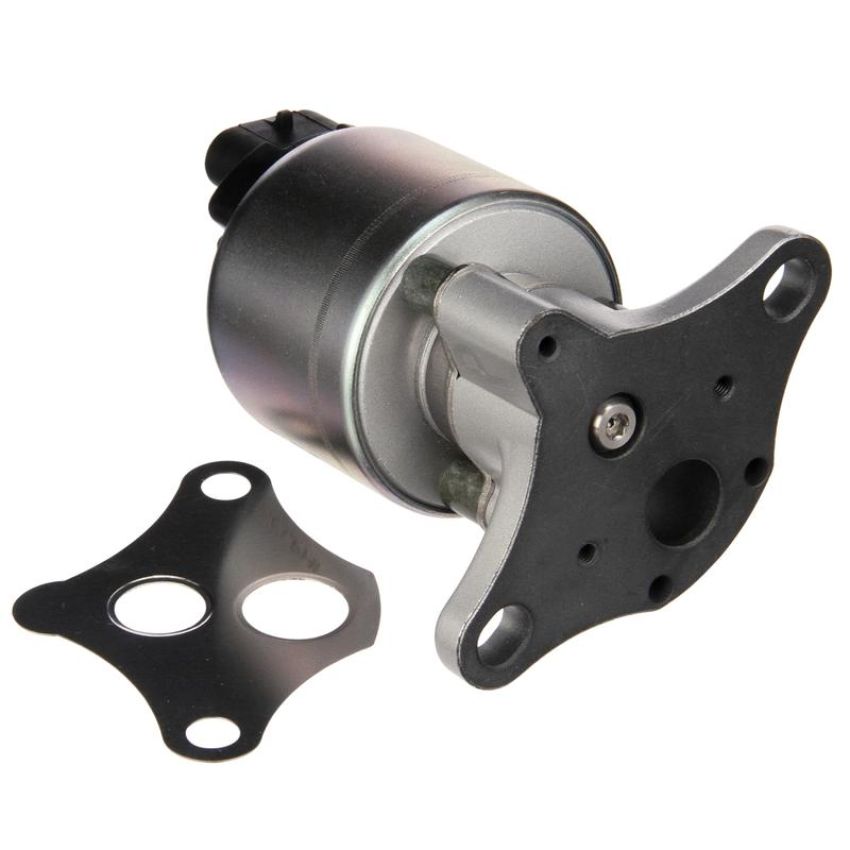 DELPHI EG10175 EGR Valve