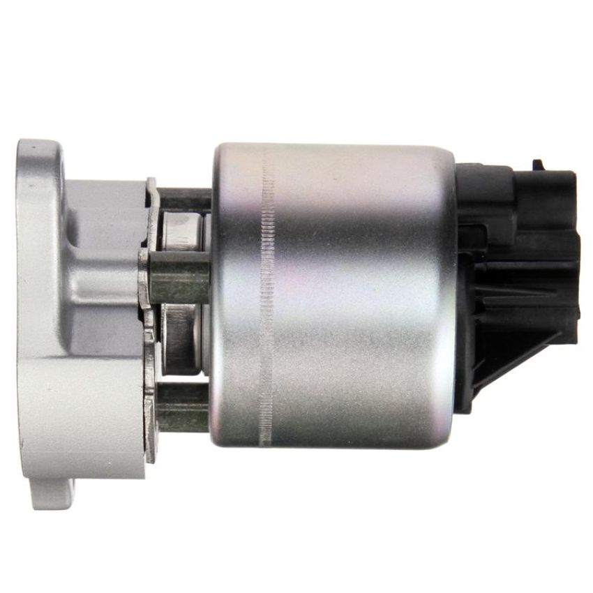 DELPHI EG10175 EGR Valve