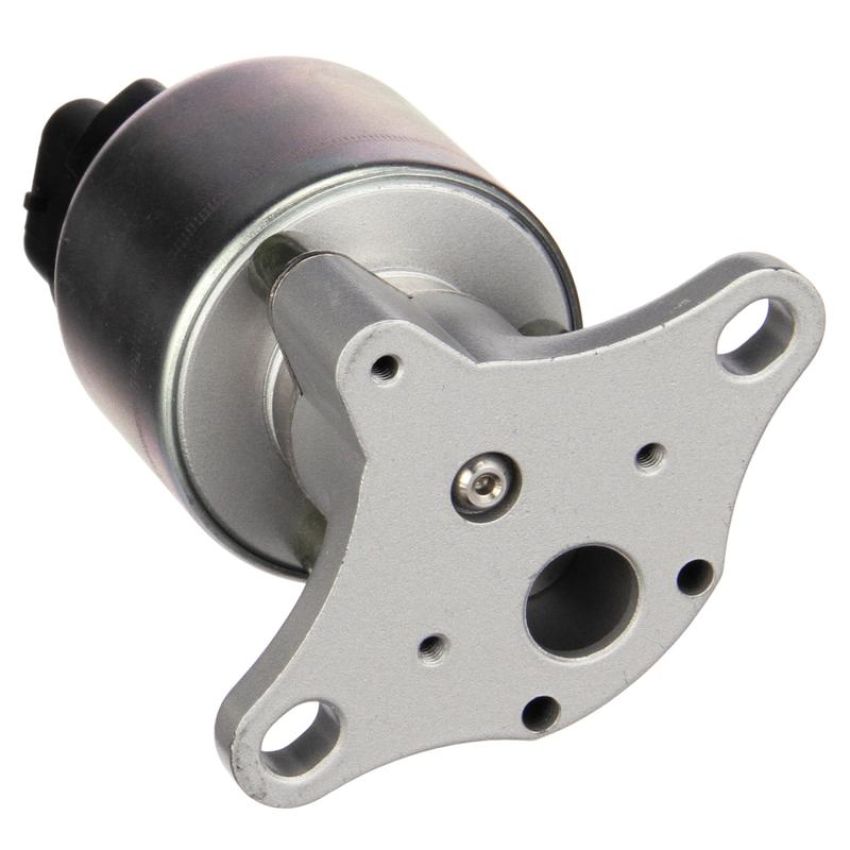 DELPHI EG10176 EGR Valve