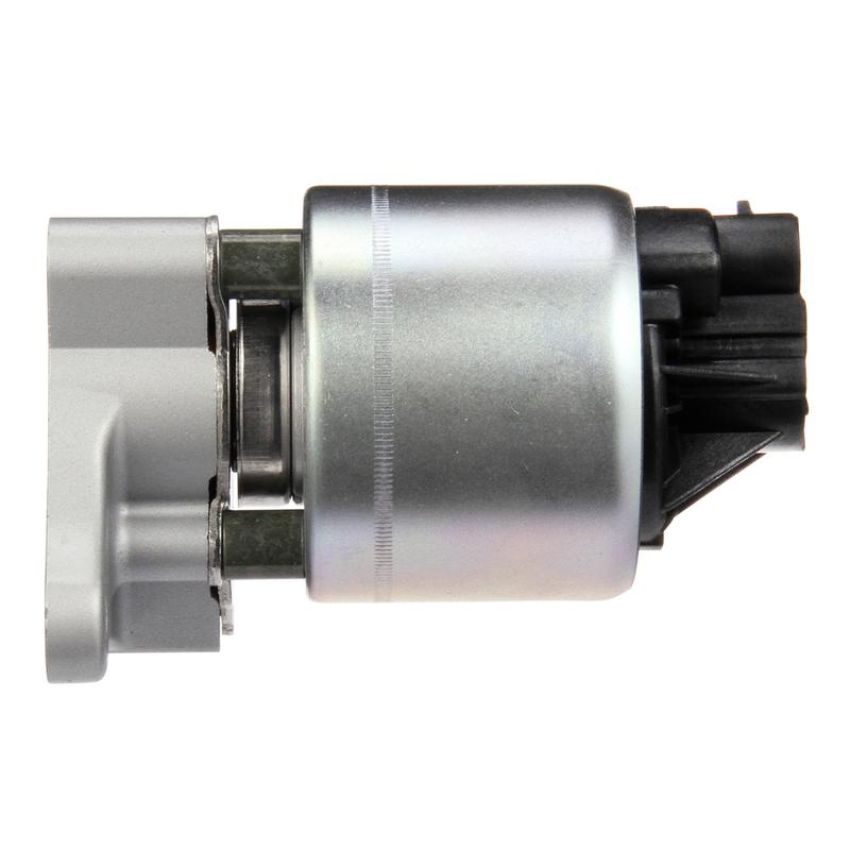 DELPHI EG10176 EGR Valve