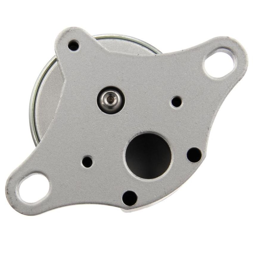 DELPHI EG10176 EGR Valve