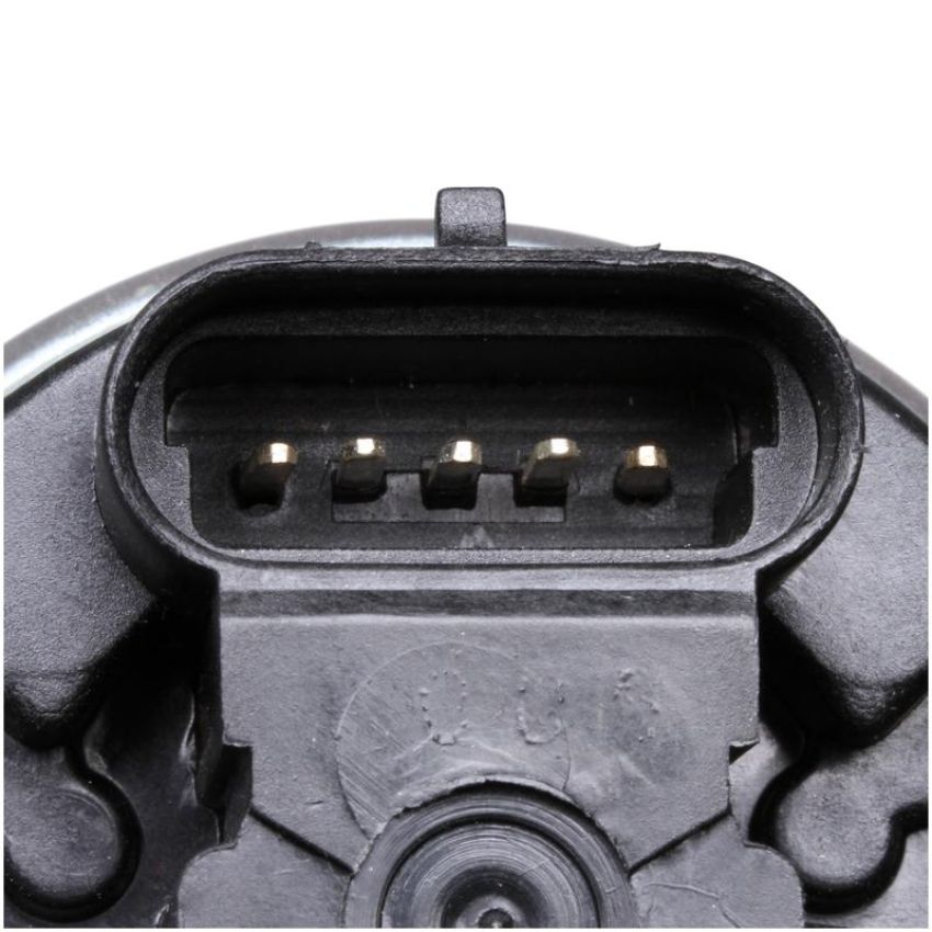 DELPHI EG10176 EGR Valve