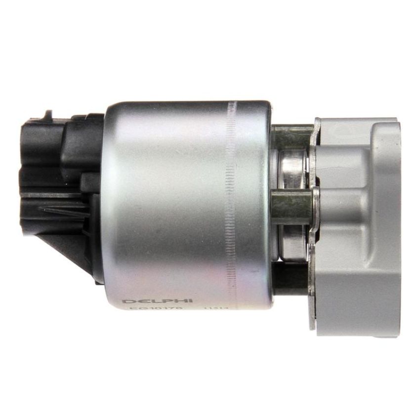 DELPHI EG10176 EGR Valve