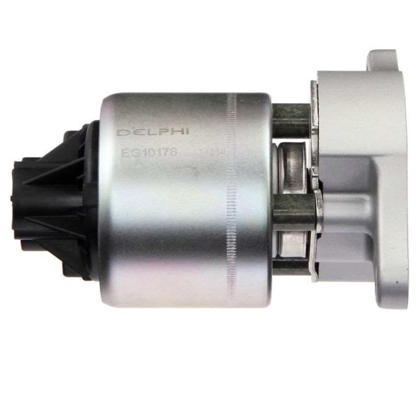 DELPHI EG10176 EGR Valve