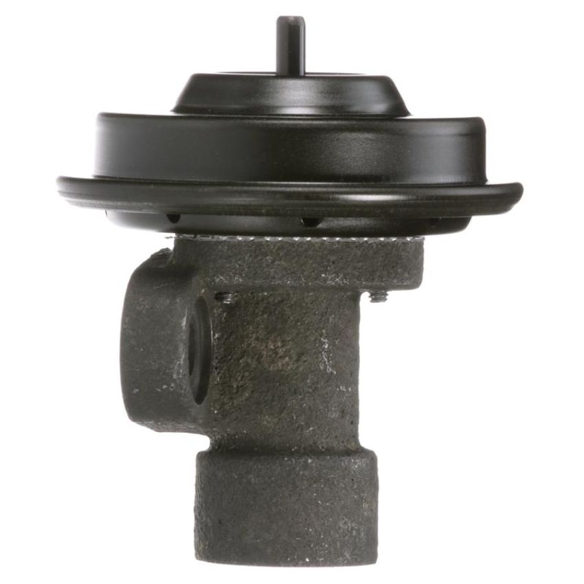 DELPHI EG10244 EGR Valve