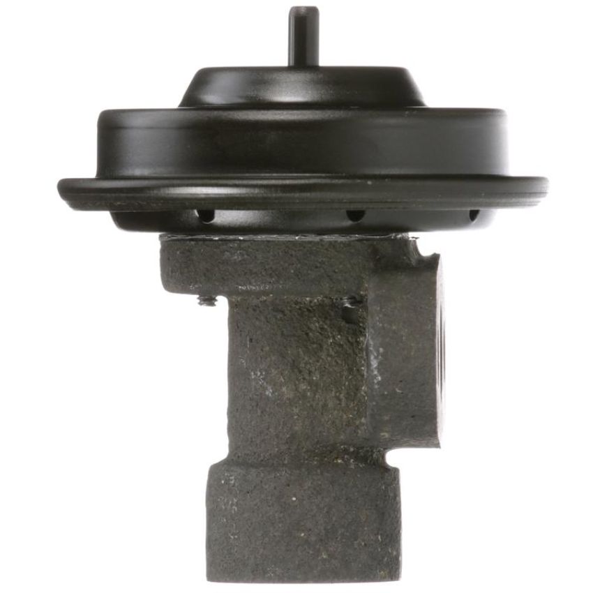 DELPHI EG10244 EGR Valve