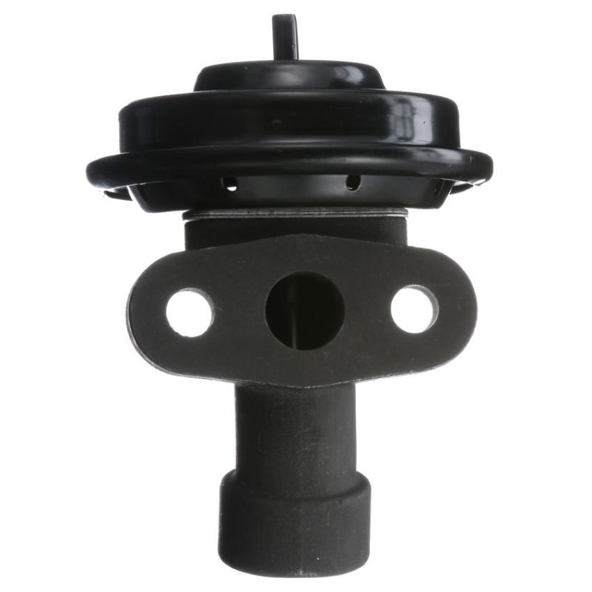 DELPHI EG10245 EGR Valve