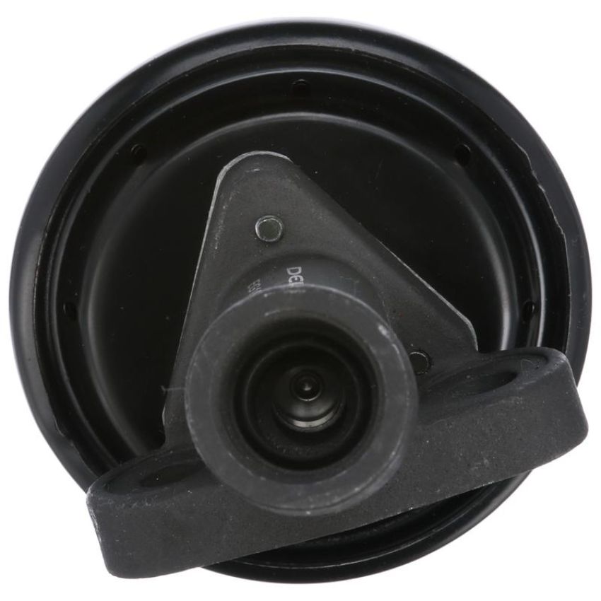DELPHI EG10245 EGR Valve