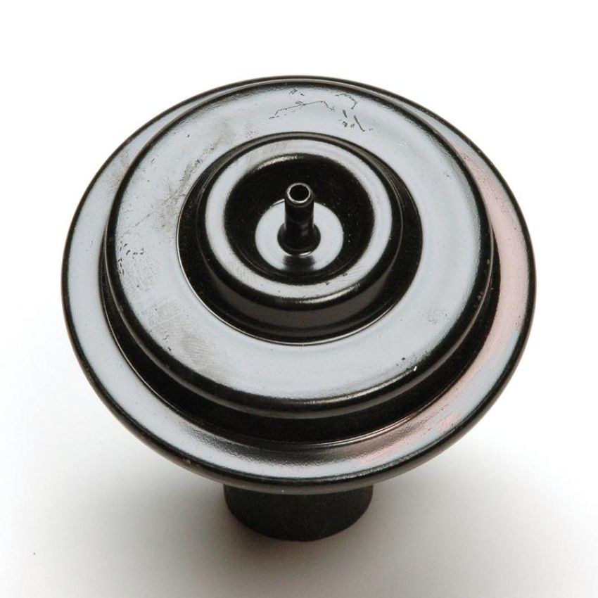 DELPHI EG10245 EGR Valve