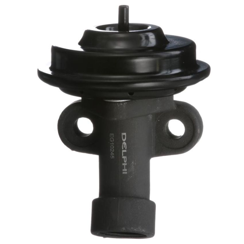 DELPHI EG10245 EGR Valve