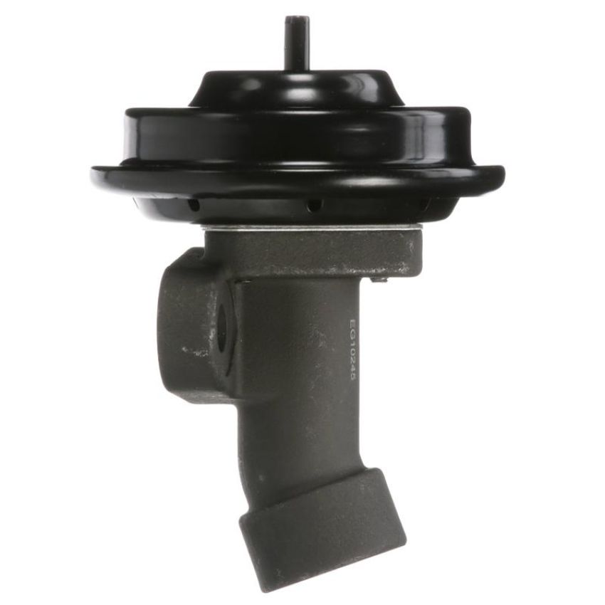 DELPHI EG10245 EGR Valve