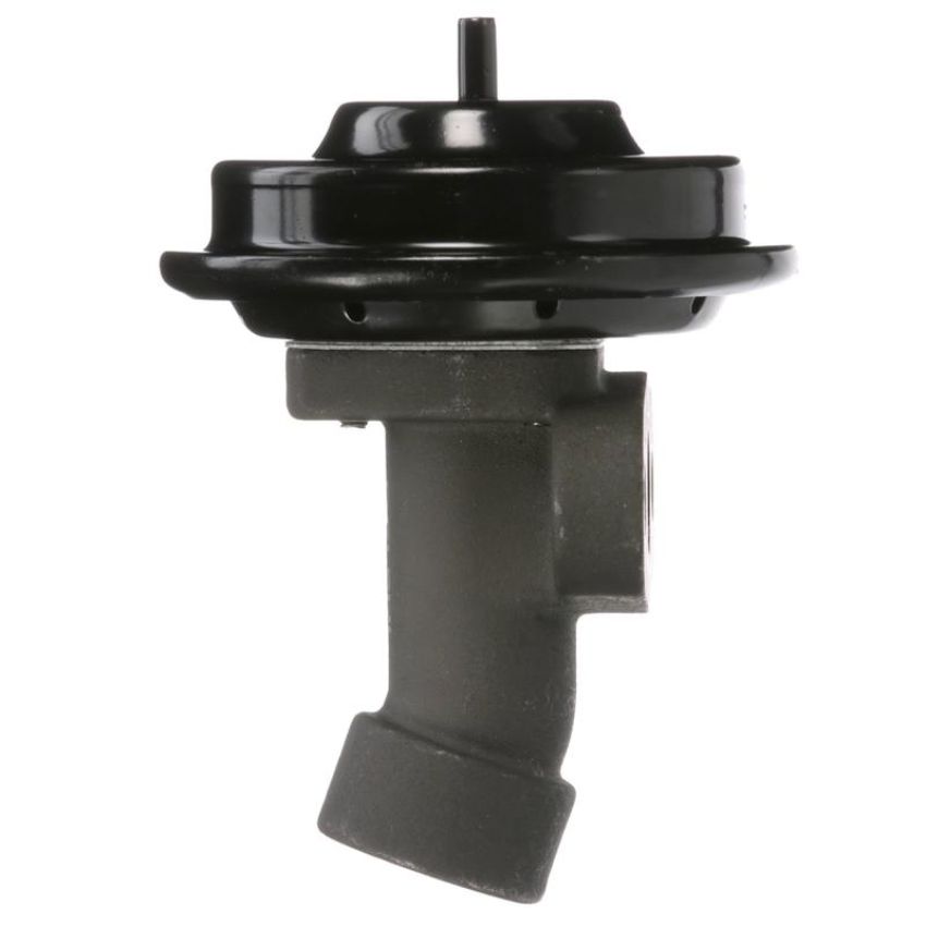 DELPHI EG10245 EGR Valve