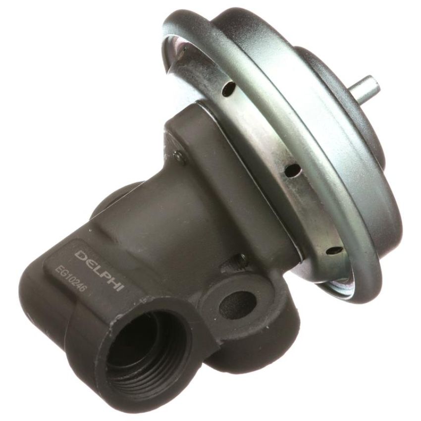 DELPHI EG10246 EGR Valve