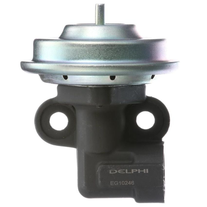 DELPHI EG10246 EGR Valve