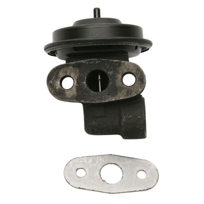 DELPHI EG10247 EGR Valve
