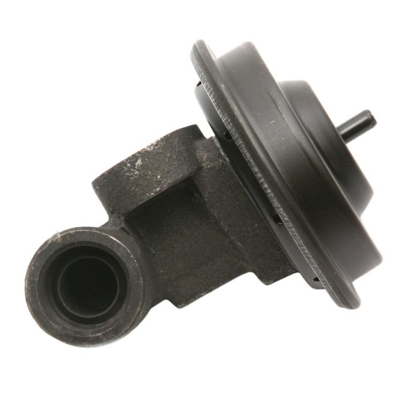 DELPHI EG10247 EGR Valve