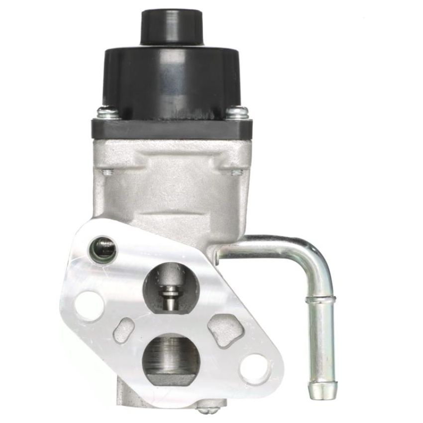 DELPHI EG10304 EGR Valve