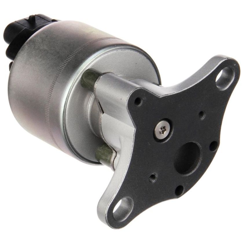 DELPHI EG10311 EGR Valve