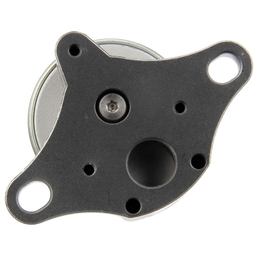 DELPHI EG10311 EGR Valve